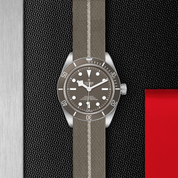 TUDOR Black Bay 58 925 - M79010SG-0002