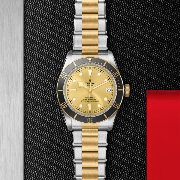 TUDOR Black Bay S&G - M79733N-0004