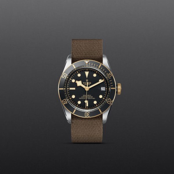 TUDOR Black Bay S&G - M79733N-0005