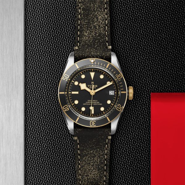 TUDOR Black Bay S&G - M79733N-0007