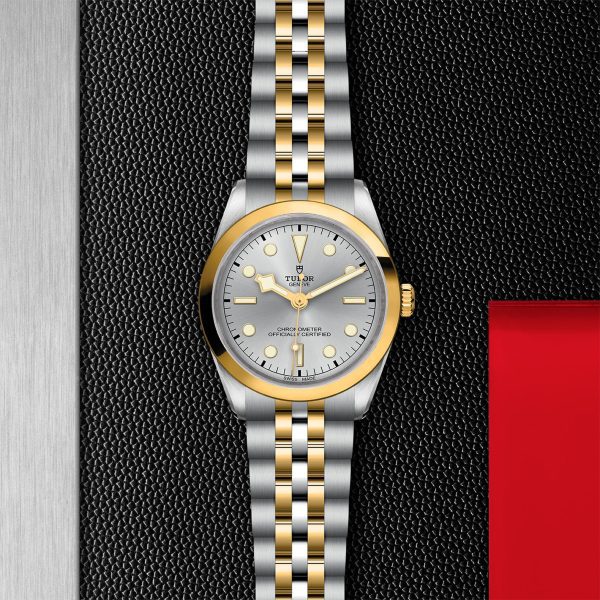 TUDOR Black Bay 31/36/39/41 - M79643-0002