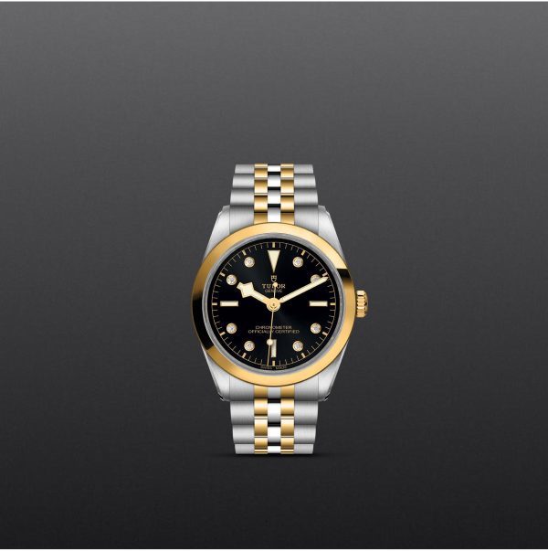 TUDOR Black Bay 31/36/39/41 - M79643-0006