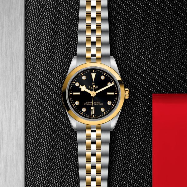 TUDOR Black Bay 31/36/39/41 - M79643-0006
