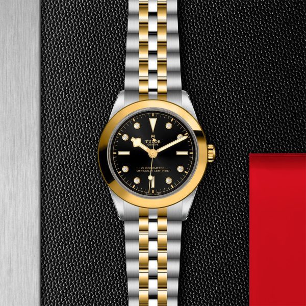 TUDOR Black Bay 31/36/39/41 - M79663-0006