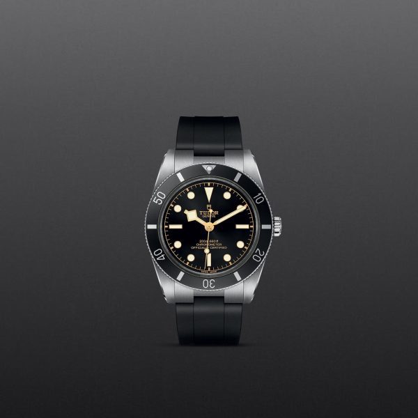 TUDOR Black Bay 54 - M79000N-0002